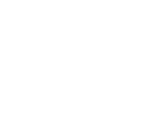 dede at the Customs House